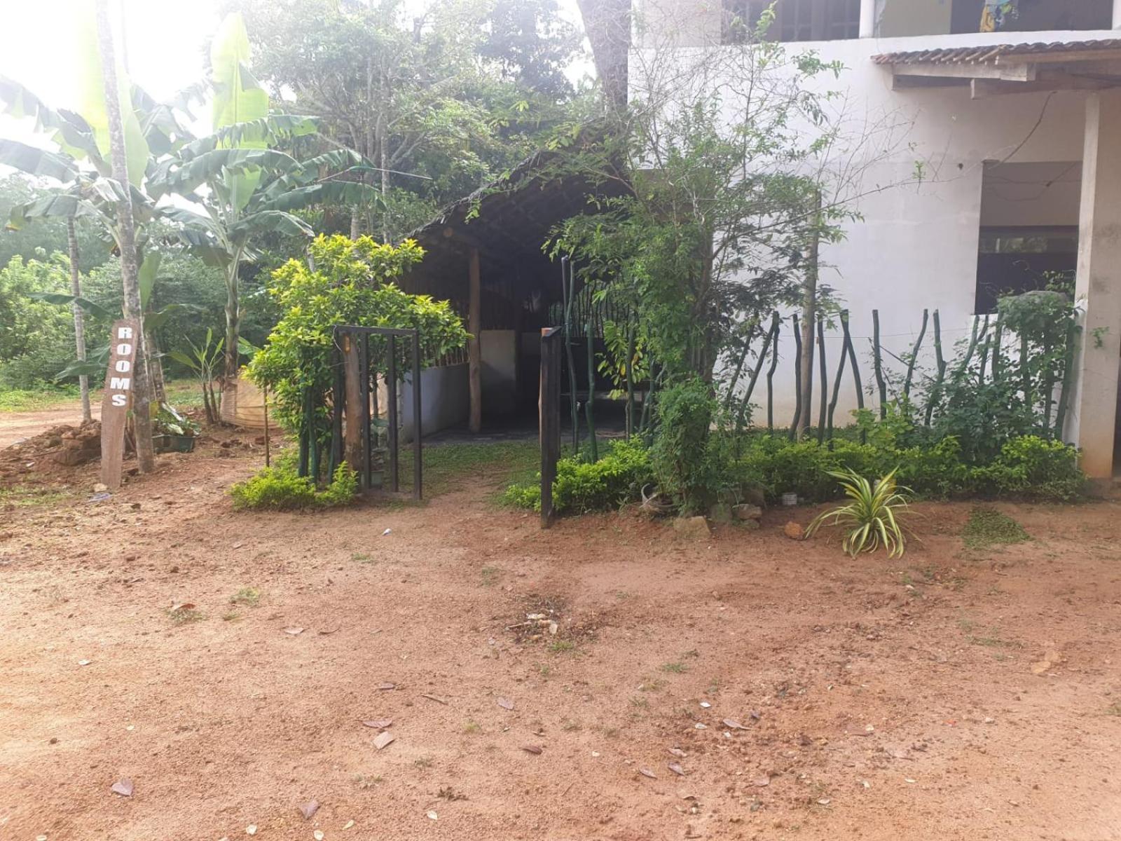 ميريسا Dillenia Canopy المظهر الخارجي الصورة